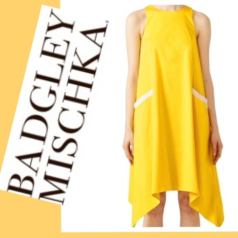 Badgley Mischka Contrast Pocket Trapeze Dress 10